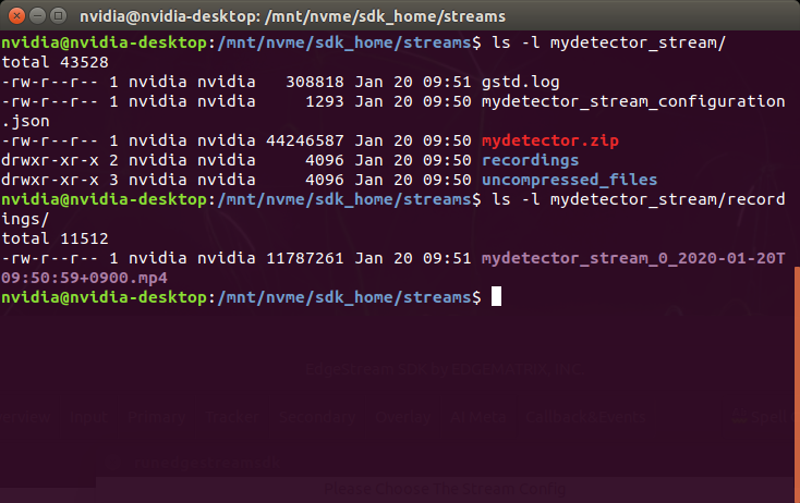 _images/mydetector_execute_streams_ls.png